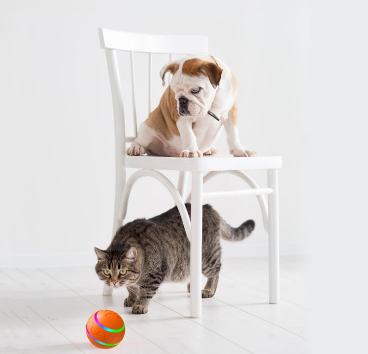 Intelligent USB Cat Toys Self Rotating Ball